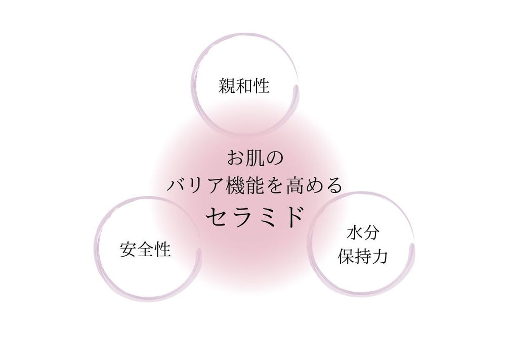 トライアルセット（初回ﾌﾟﾛﾓｰｼｮﾝｺｰﾄﾞ『3588』）