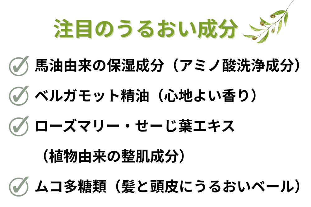 パズィット（シャンプー）