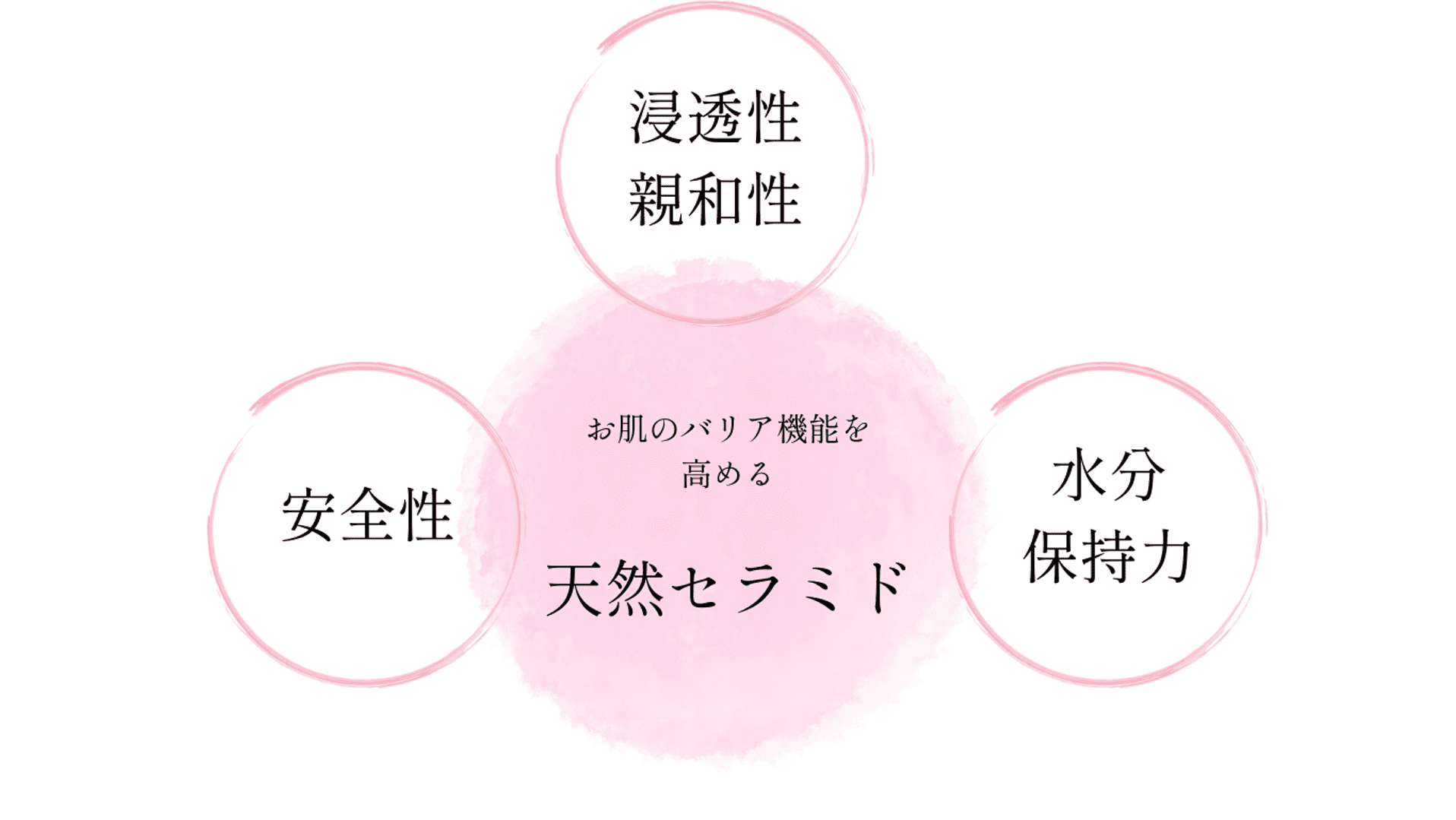 アハヴィー化粧品はセラミドの中でも、安全性の高い「天然セラミド」を贅沢に配合。このセラミドはお肌のバリア機能を高める効果があり、親和性、安全性、水分保持力に優れています。