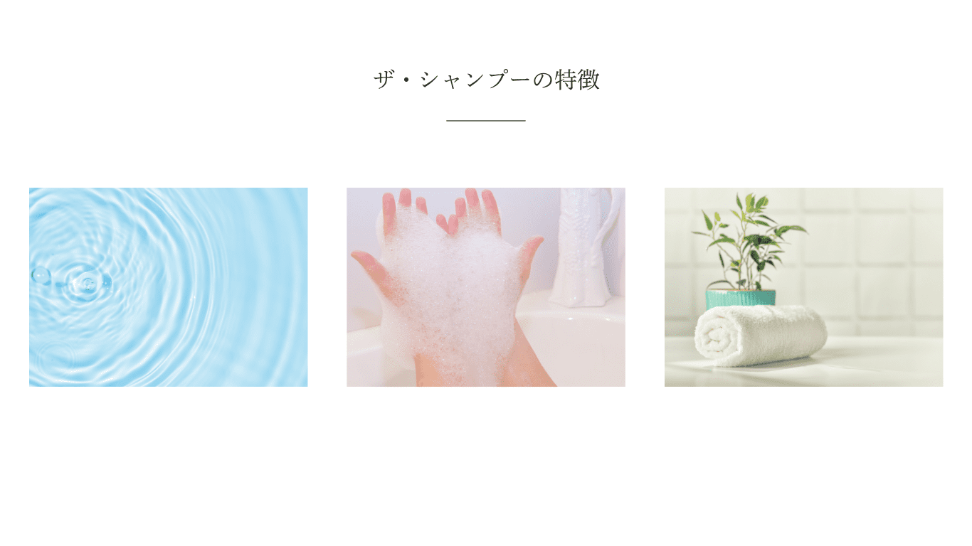 ザ・シャンプーの特徴
