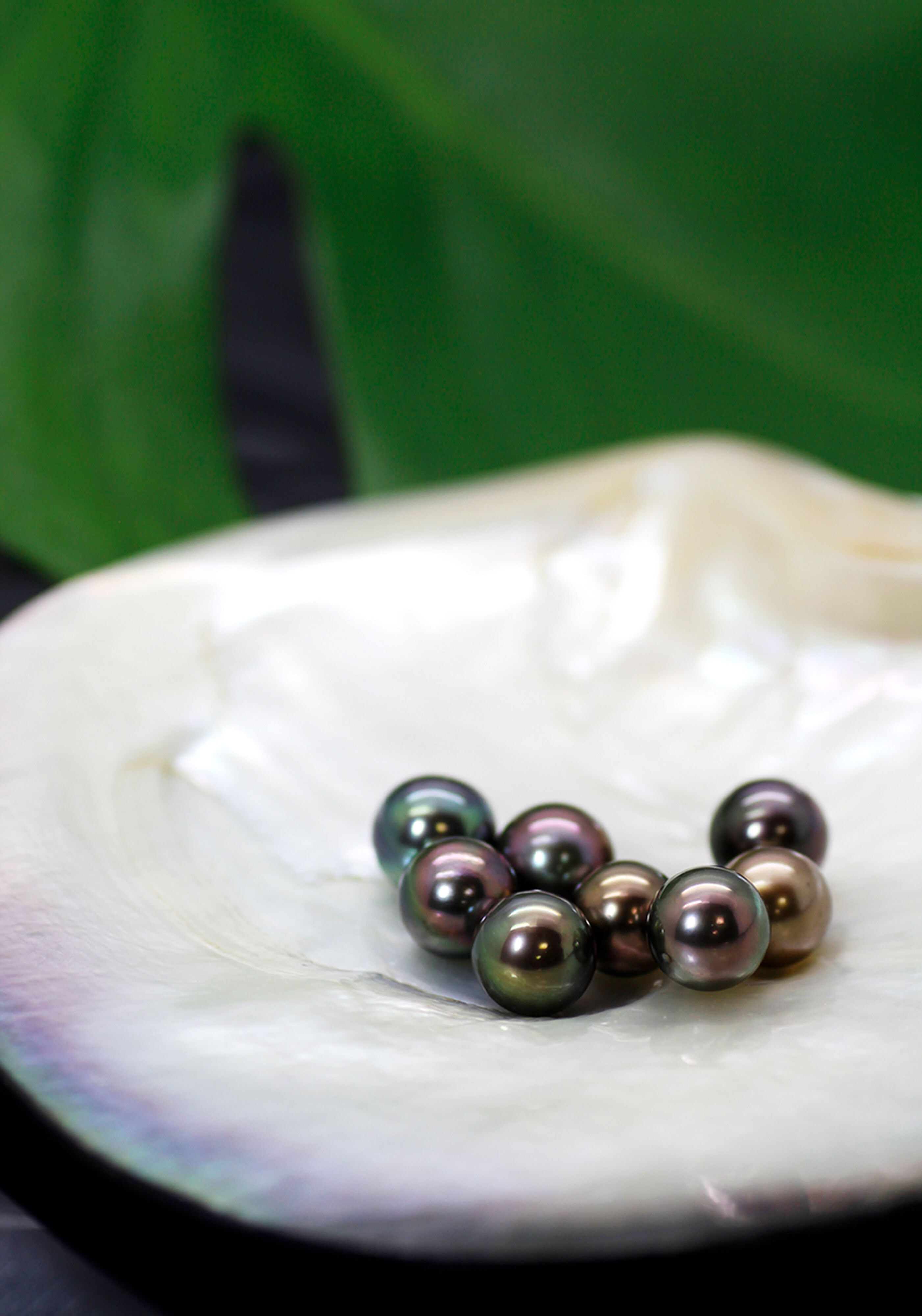 タヒチアンパール講座