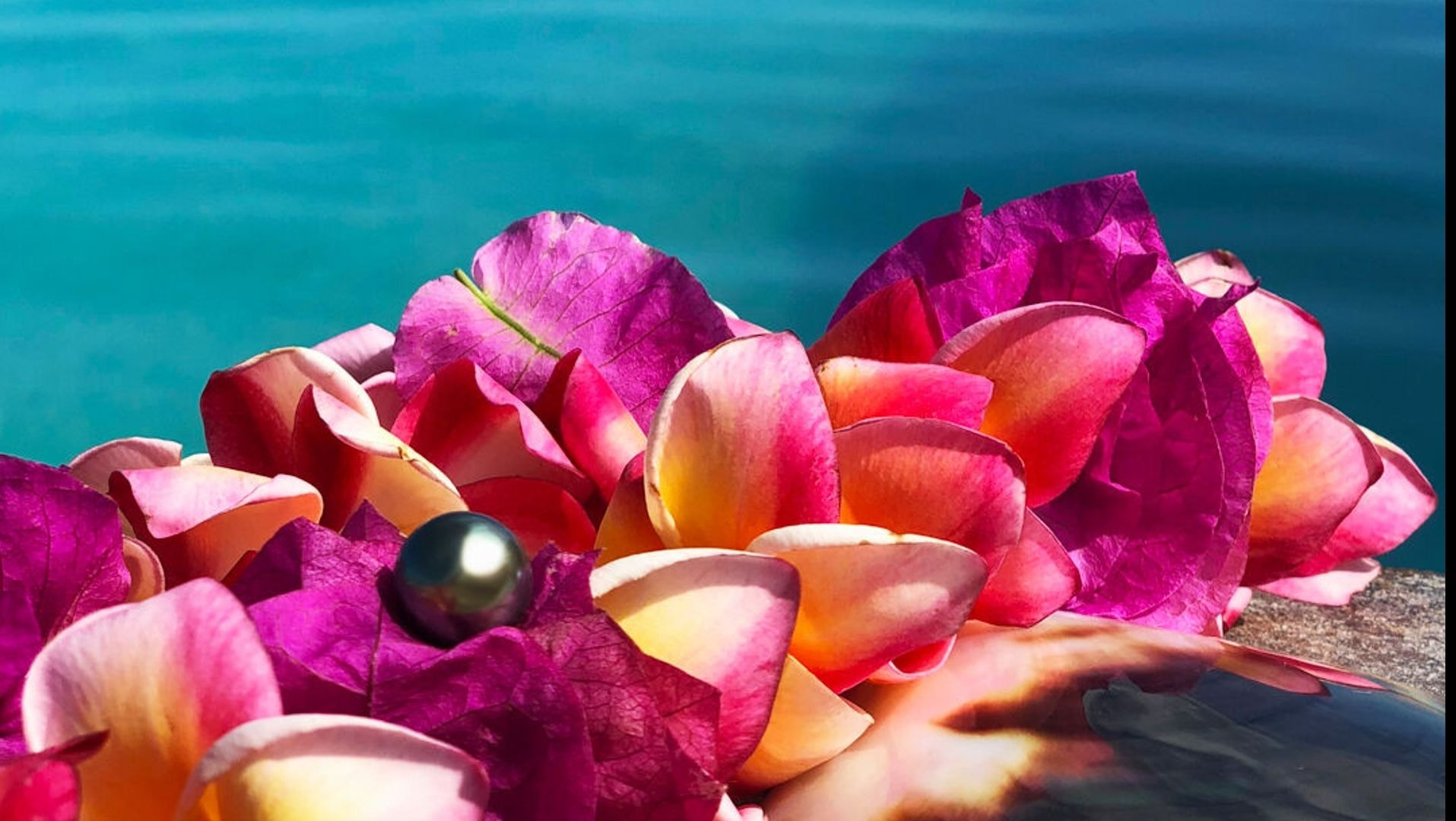 タヒチの海とタヒチパール(黒蝶真珠) タヒチの海とタヒチパール(黒蝶真珠)