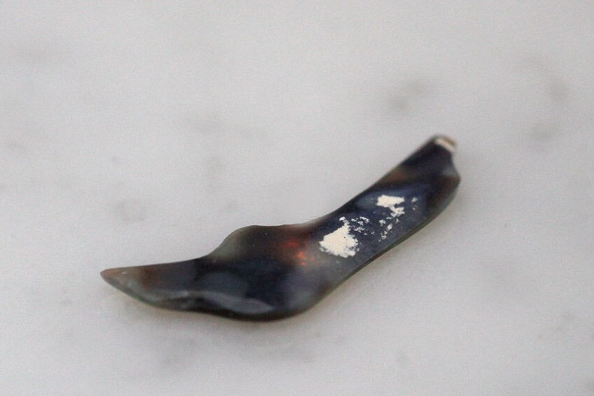 天然ブラックオパール 0.670ct