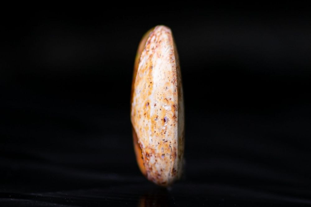天然母岩メキシコオパール 1054238