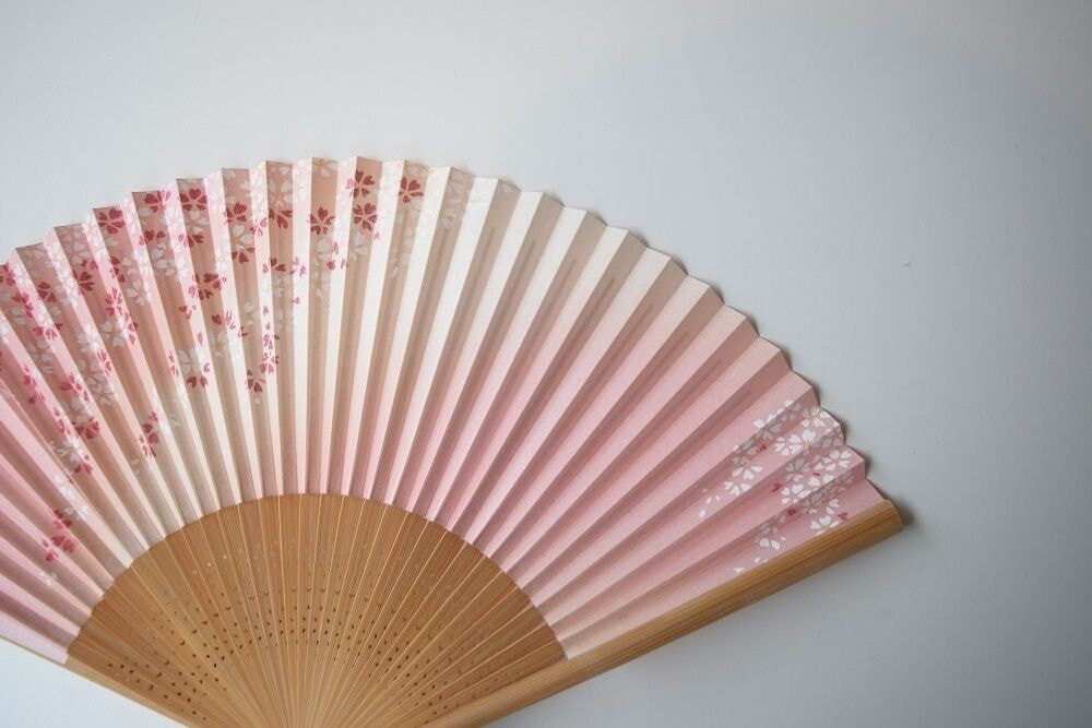 夏扇子　桜