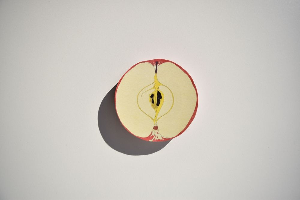 フルーツメモ　リンゴ